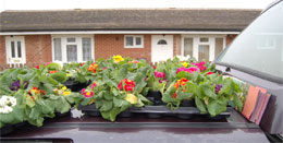 flowers on roof of car to be delivered